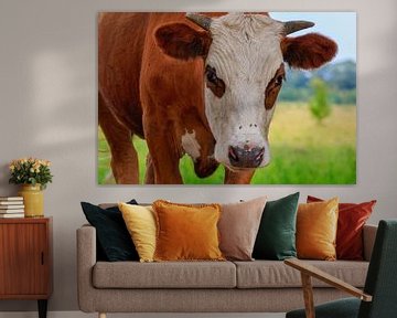 Portrait d'une vache Blaarkop sur Photo Henk van Dijk