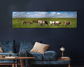 Koeien aan de wandel  panorama van Peter Hermus