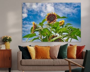 Bunch of sunflowers in blue with clouds by Jolanda de Jong-Jansen