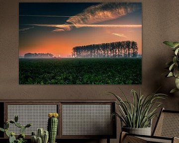 Sonnenaufgang Noordoostpolder von Martien Hoogebeen Fotografie