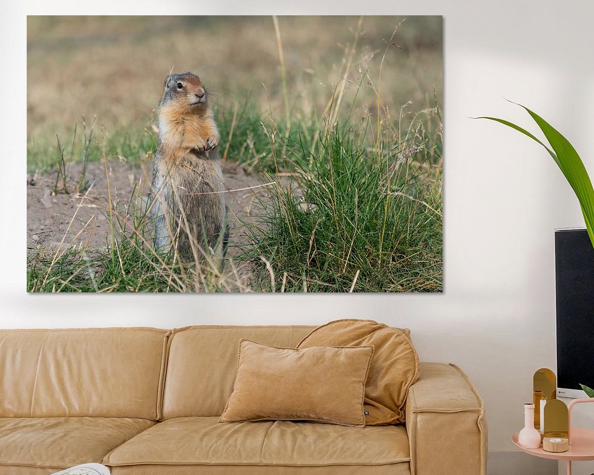 Raumvorschau
