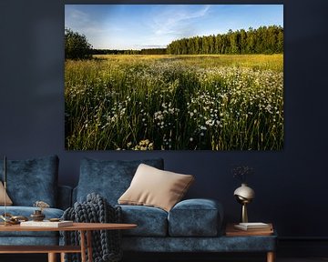 Vue sur la prairie fleurie de Bialowieza, Pologne sur OCEANVOLTA