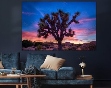 Sunset Joshua Tree National Park