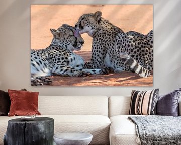 Cheetah coalition by Felix Sedney