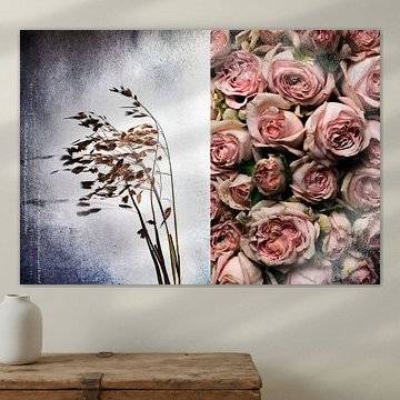 A BREEZE SIGN_QUAKING GRASS AND ROSES