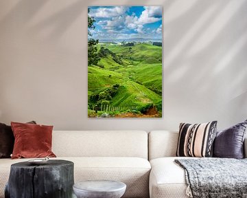 Landschaft Neuseeland von Ivo de Rooij