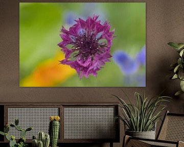 Abstrakter Hintergrund mit einer violetten Kornblume von Jolanda de Jong-Jansen