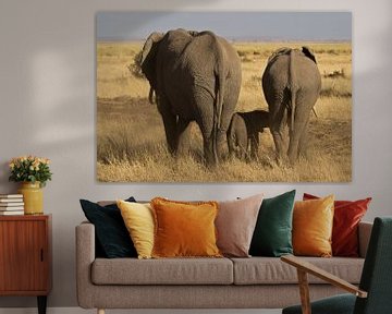 Elephant group with a young walking on the steppe in Kenya by Jeffrey Steenbergen