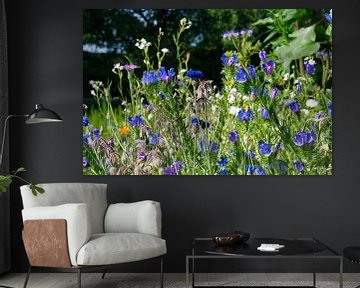 Champ de fleurs bleues et violettes sur Jolanda de Jong-Jansen