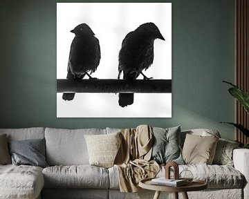 Zwart Wit foto van twee Kauw vogels van Jeffrey Steenbergen