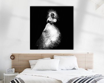 Dame en blanc - Dame en blanc
