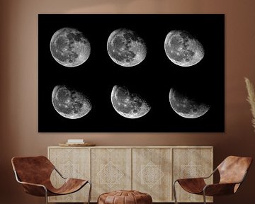 Moon phases by Julia Schellig