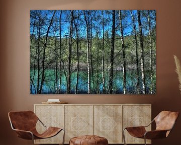 Nature : des arbres au bord d'un lac sur Jarno De Smedt