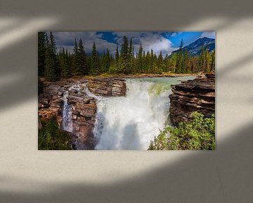 Athabasca-Wasserfall in Jasper N.P., Alberta, Kanada