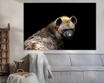 Hyena Portret van Karin vd Waal