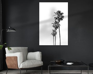 L'idylle minimaliste des palmiers sur Melanie Viola