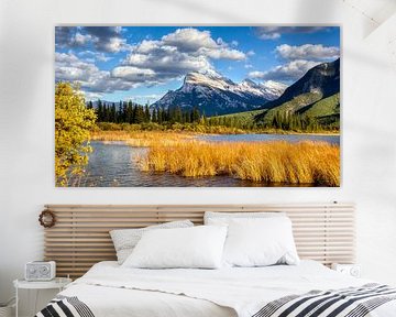 Vermilion Lakes, Banff, Canada van Adelheid Smitt