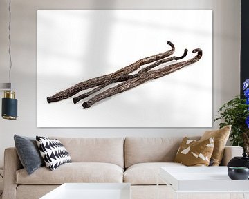 Three vanilla pods, closeup isolated with shadows on a white background by Maren Winter
