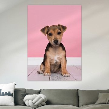 Jack Russell-Welpe von Elles Rijsdijk