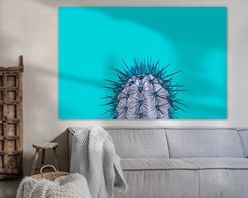 Cactus turquoise by Elles Rijsdijk