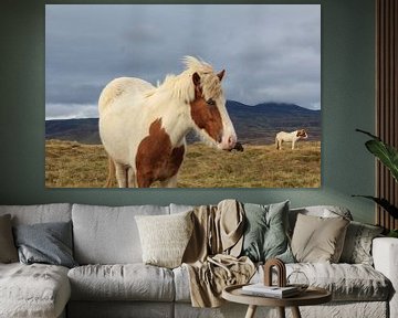 Icelandic horse by Map of Joy