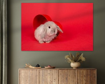 Rabbit in Red van Elles Rijsdijk