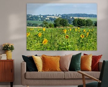 Blühende Sonnenblumen in Simpelveld von John Kreukniet