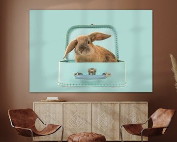 Rabbit in a box by Elles Rijsdijk