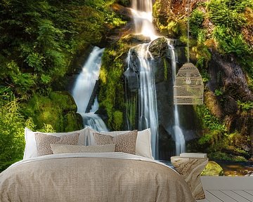 Triberg Waterfall by Ilya Korzelius