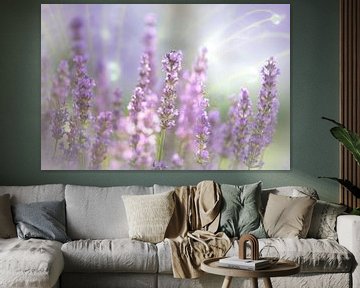 Lavendel Blüte des Sommers von Tanja Riedel