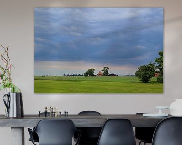 Vergezicht Friesland