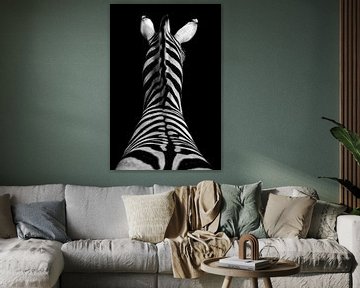 Zebra van peter reinders