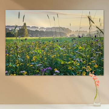 Buntes Blumenfeld mit Morgennebel