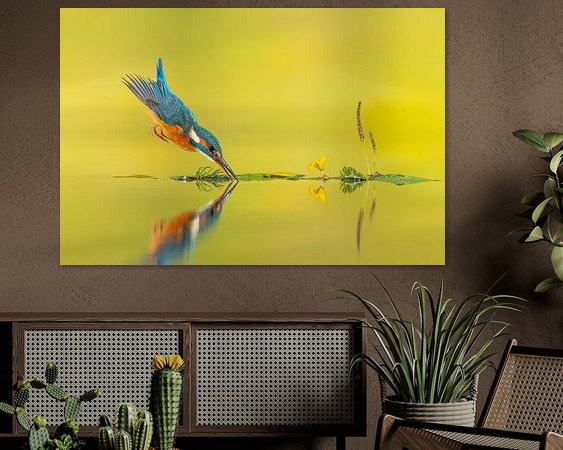 Aperçu de la chambre