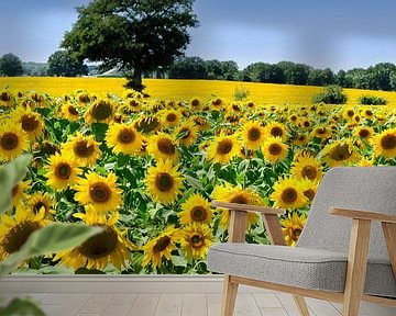 Veld met zonnebloemen in Frankrijk van Corinne Welp