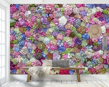 Hydrangea display by Paul Heijmink