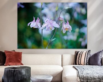 Pink flowers by Iris Lobregt