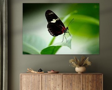 Butterfly fly away van Iris Lobregt