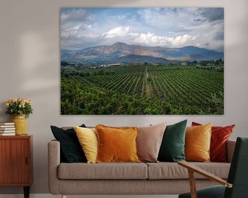 Winery at the foot of Mount Etna by Esther Seijmonsbergen