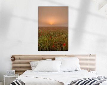 Champ de coquelicots au lever du soleil sur Moetwil en van Dijk - Fotografie