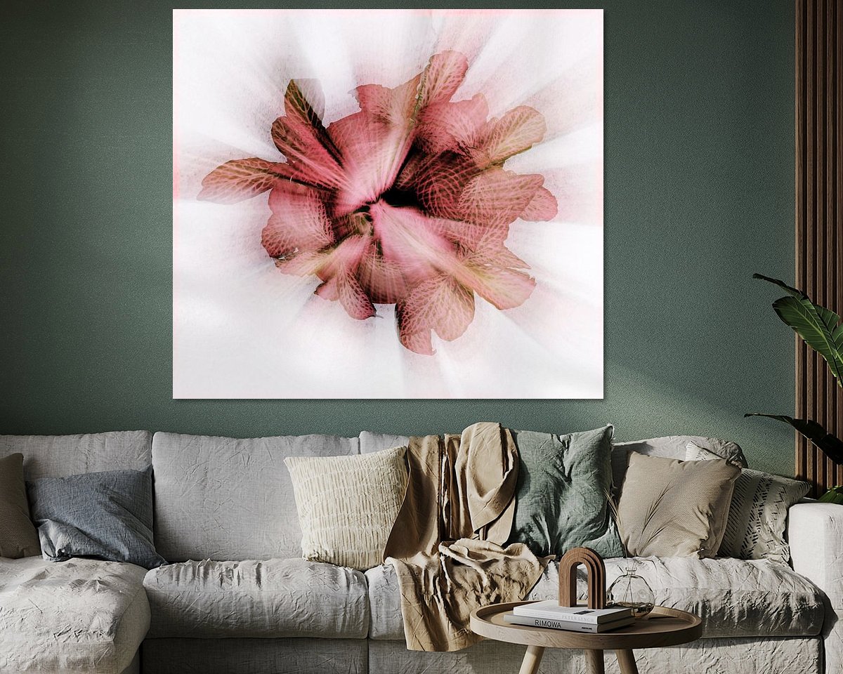 Raumvorschau