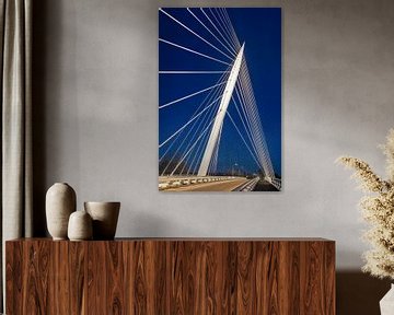 Harp bridge in Haarlemmermeer, Netherlands by Adelheid Smitt