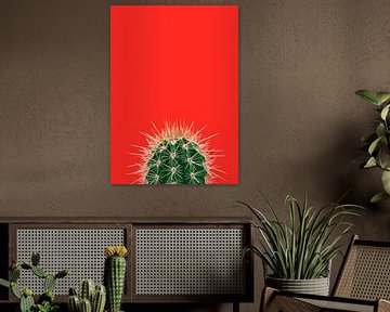 Groene cactus in het rood van Elles Rijsdijk