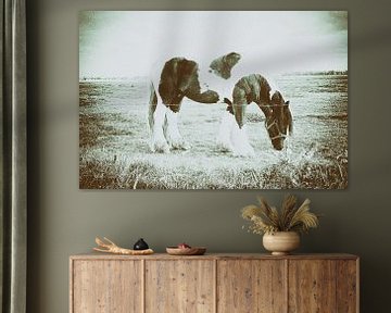 paard in de wei horse tinker meadow black white van Gerard de Ridder