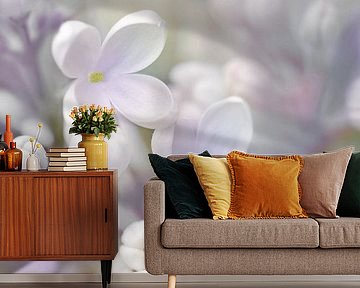 Lilac by Violetta Honkisz