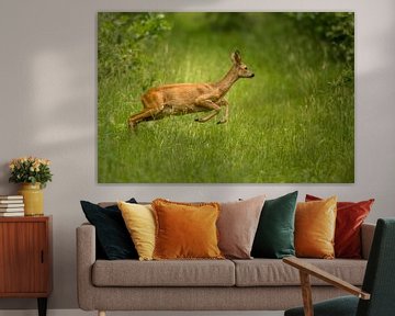 Springender Hirsch im Gras. von Erik de Rijk