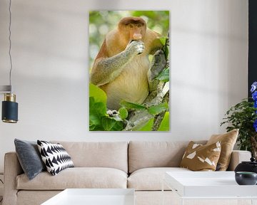 Nose monkey by Elles Rijsdijk