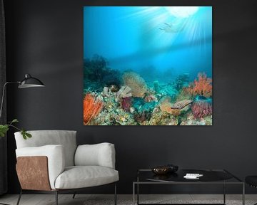 coral reef. by Dray van Beeck