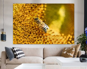 Honeybee -1 by Mi Vidas Fotodesing