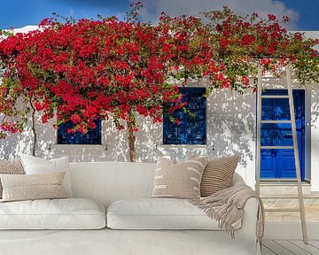 Colourful Paros, Greece by Adelheid Smitt